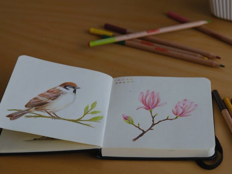 布穀鳥之夢